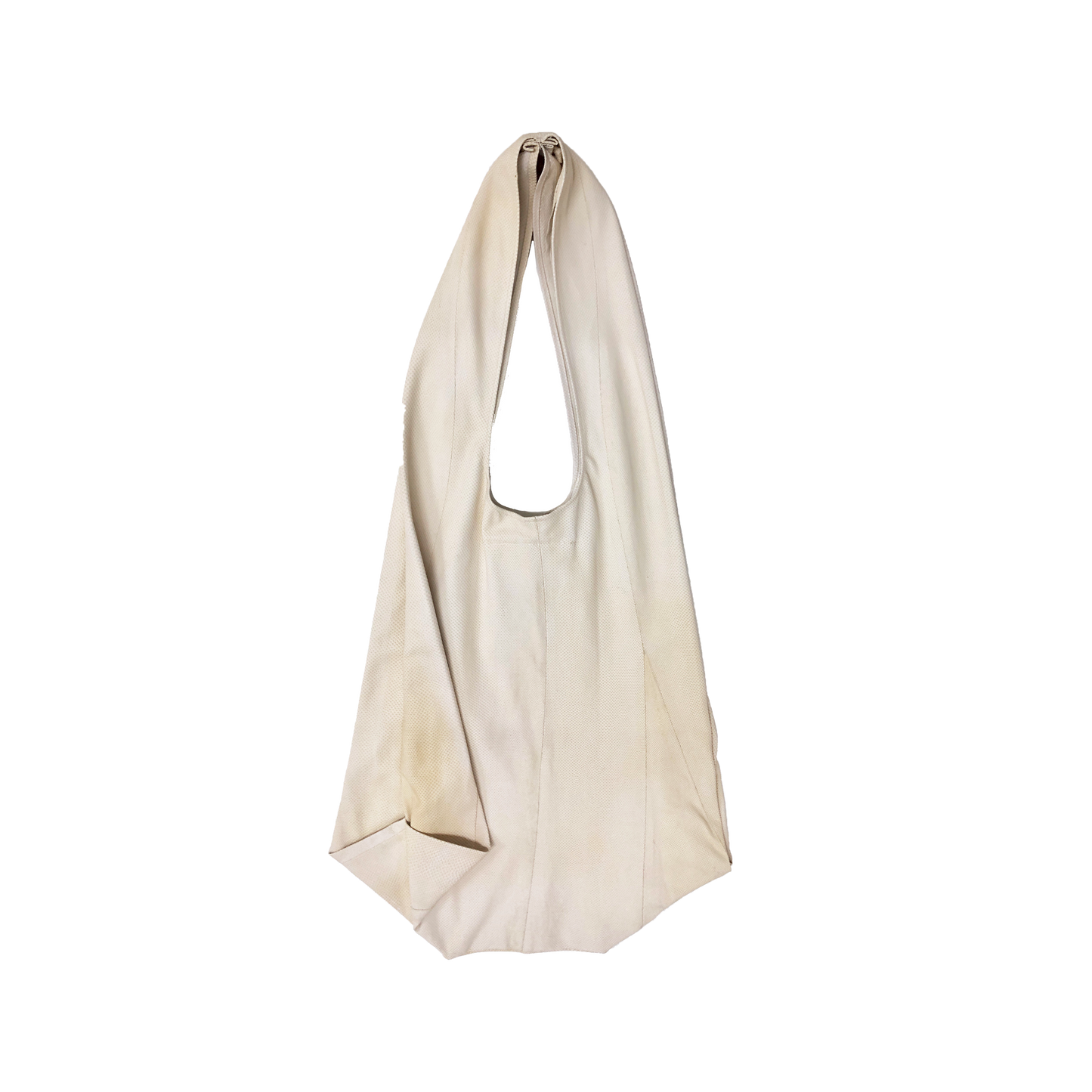 The Watersnake Skin Bag 2